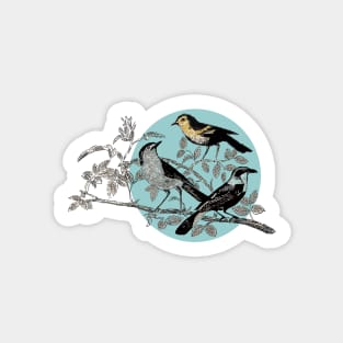 Drawing of birds Sticker